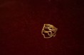 /album/%cf%86%cf%89%cf%84%ce%bf%ce%b3%ce%ba%ce%b1%ce%bb%ce%b5%cf%81%ce%af%3a-%ce%b4%ce%b1%cf%87%cf%84%cf%85%ce%bb%ce%af%ce%b4%ce%b9%ce%b1-%ce%bc%ce%b5-%cf%83%cf%8d%cf%81%ce%bc%ce%b1/dsc-0215-jpg/